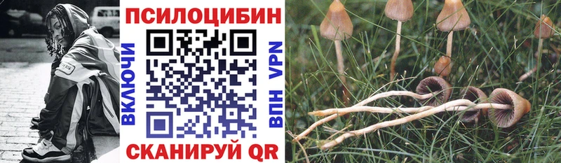 Псилоцибиновые грибы GOLDEN TEACHER Купить Куйбышев